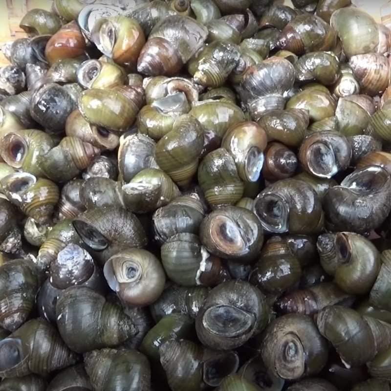 CHUYÊN BÁN HẢI SẢN TƯƠI SỐNG Ở MỸ