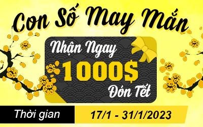 Mua thẻ Game ở nước ngoài – Nhận ngay 1000$ lộc đón Tết sang