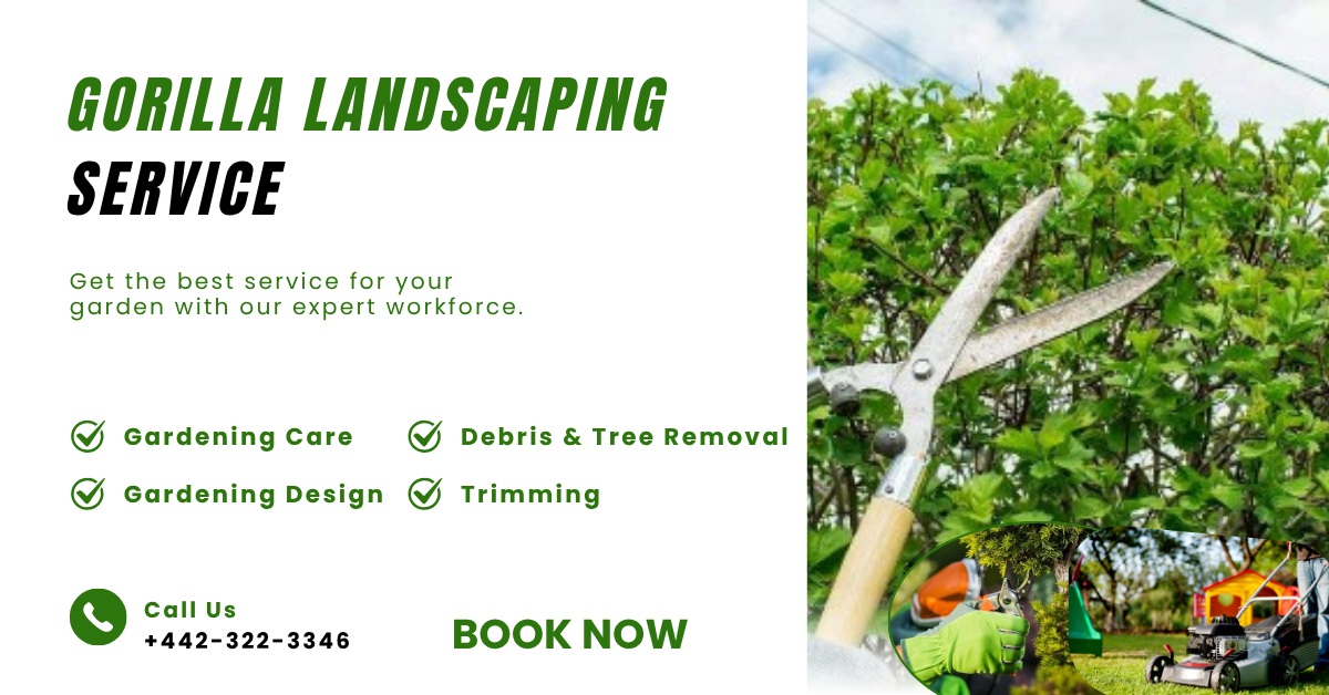 Dịch vụ Làm Vườn, Landscaping Texas