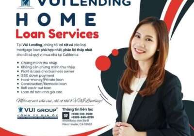 1-vui-lending-loans-business