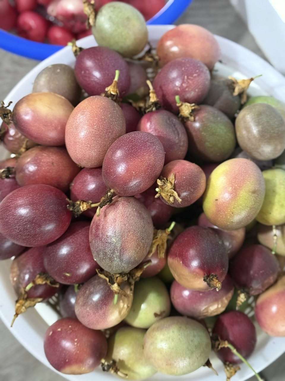 Cây Trái, Rau Củ Việt Tại Mỹ – Giao Hàng Toàn Khu!